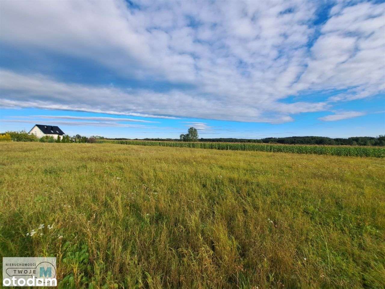 Widokowa działka idealna pod podział! - Pełny obrazek: 5/9