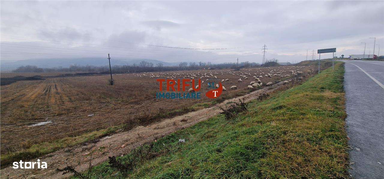 Teren extravilan 6257mp în drumul Clujului - Imagine principală: 4/9