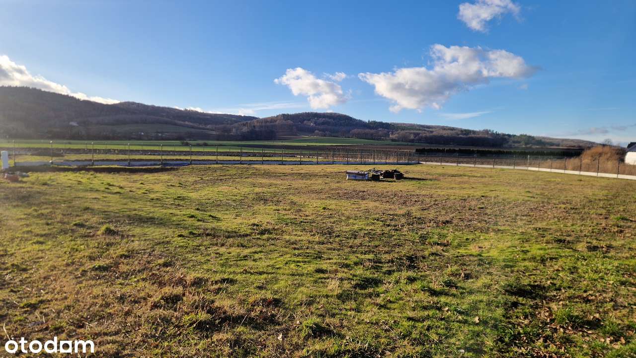 Działka, 1 608 m², Burkatów - Pełny obrazek: 5/12