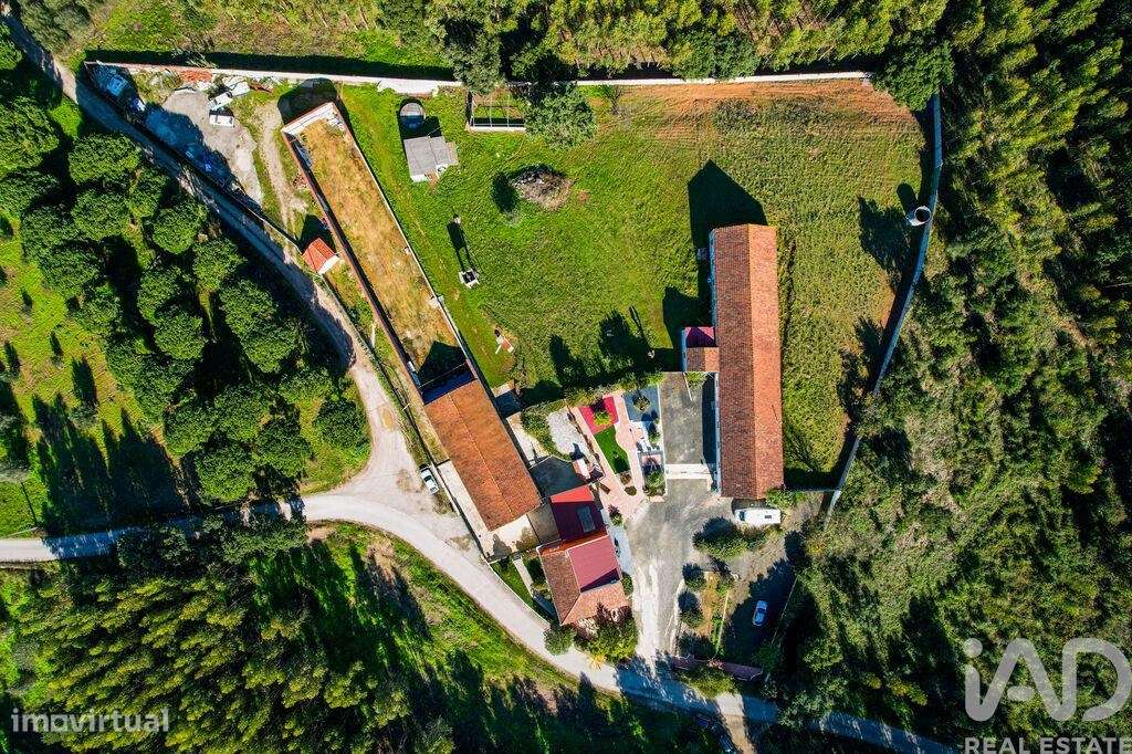 Quinta T3 em Alcobertas de 255,00 m2 - Grande imagem: 4/29