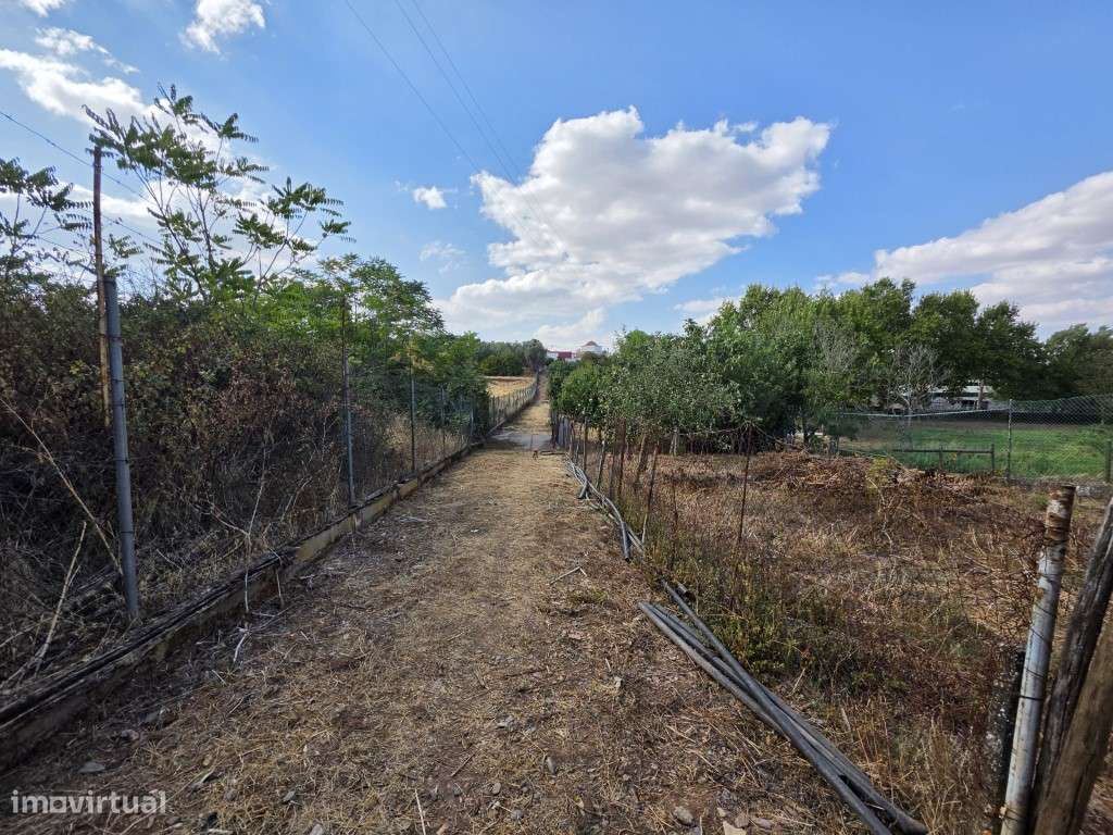 Moradia T3 em Vila Viçosa, com garagem, inserida em lote de 3500 m2-9