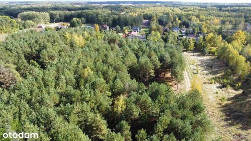 Działka3332m2z Wz,prąd,woda,las blisko Mszczonowa - Pełny obrazek: 4/6