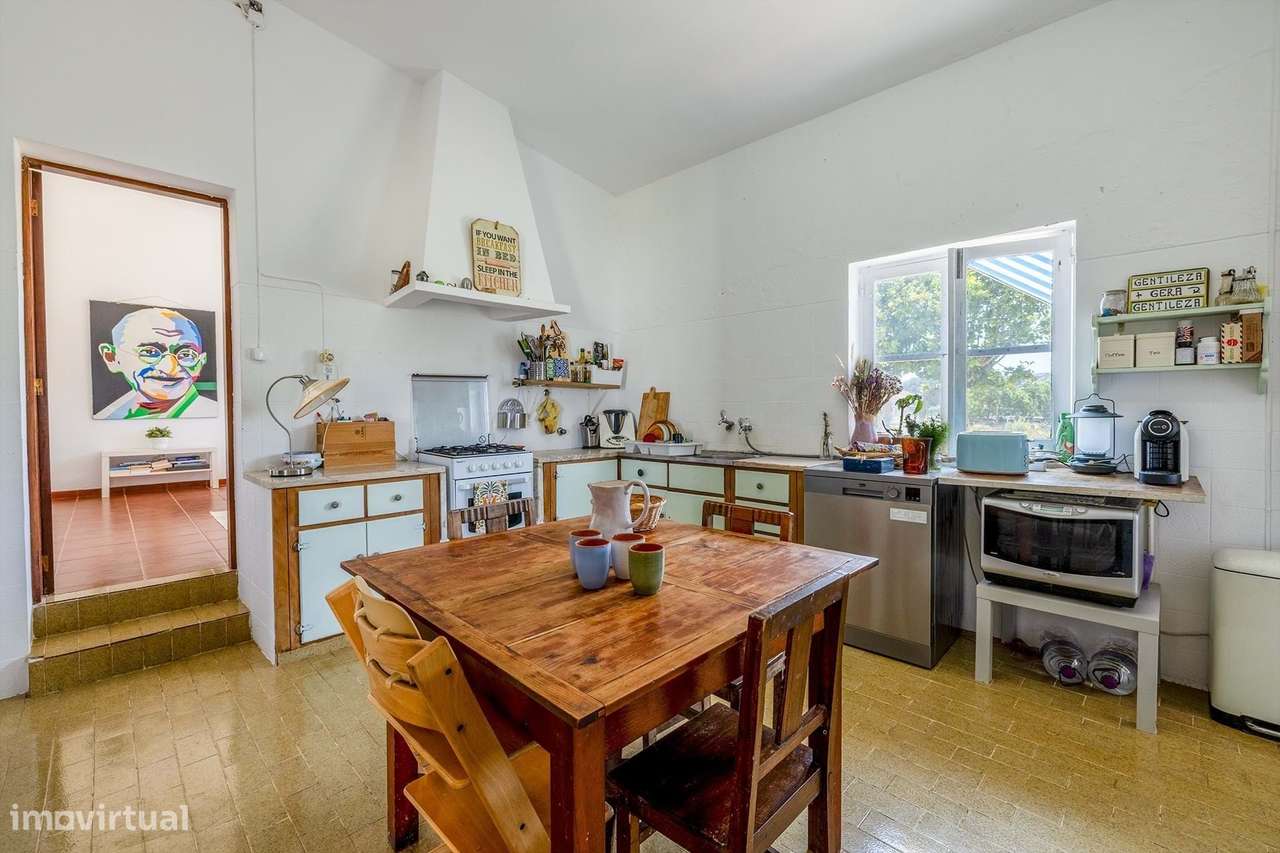 TERRENO DE 5,7 HA COM QUINTA TRADICIONAL PARA VENDA EM BUDENS / VILA D - Grande imagem: 5/36