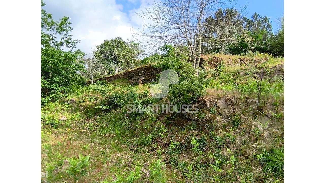 Quintinha em Vila do Mato-27