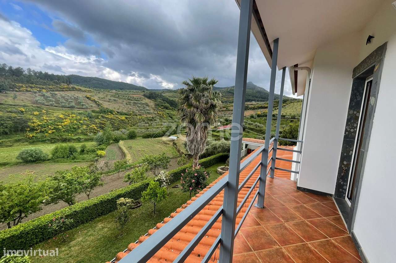 Quinta com Moradia V3 de 2 Pisos, Garagem e Olival – São Pedro, Vei...-6