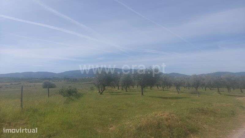 Terreno Rústico / Fundão, Alcaria - Grande imagem: 2/3