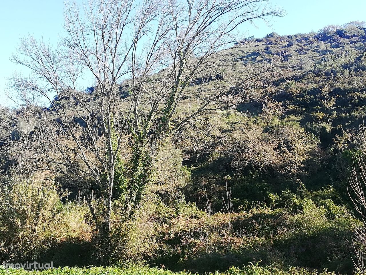 Terreno rústico Sobral de Monte Agraço