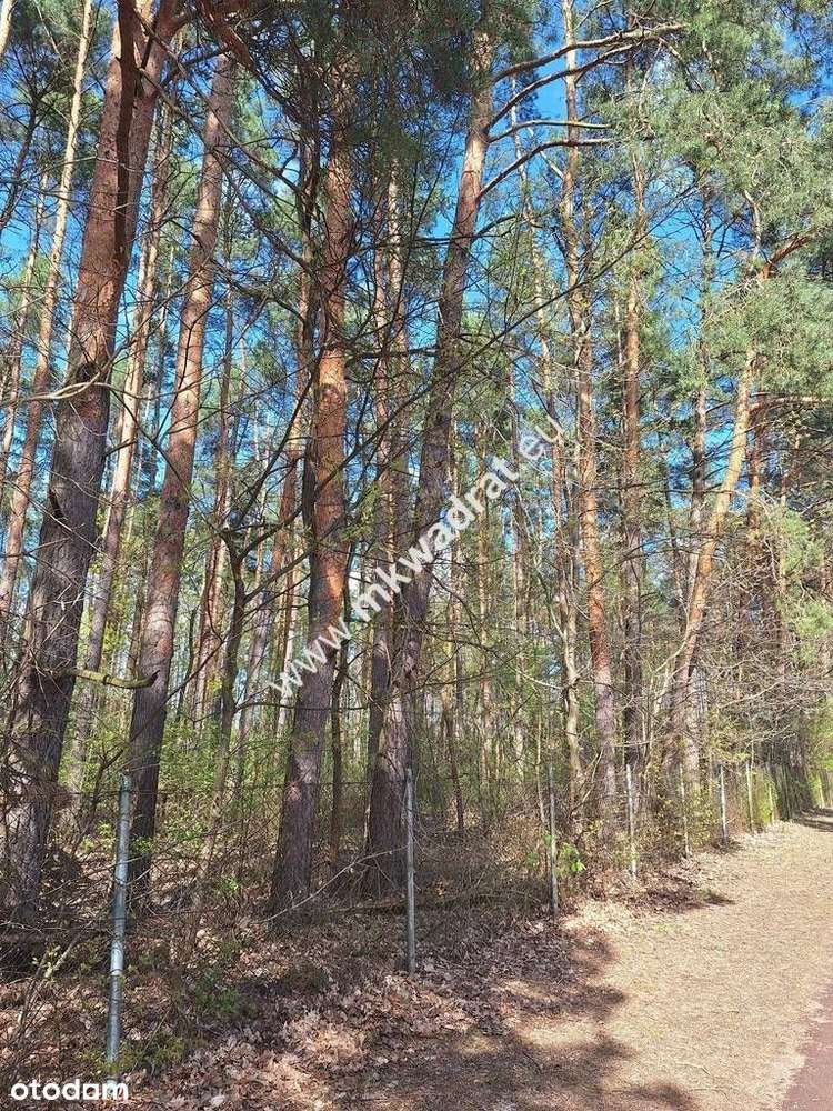 Przepiękna działka Nadarzyn Strzeniówka z Mpzp