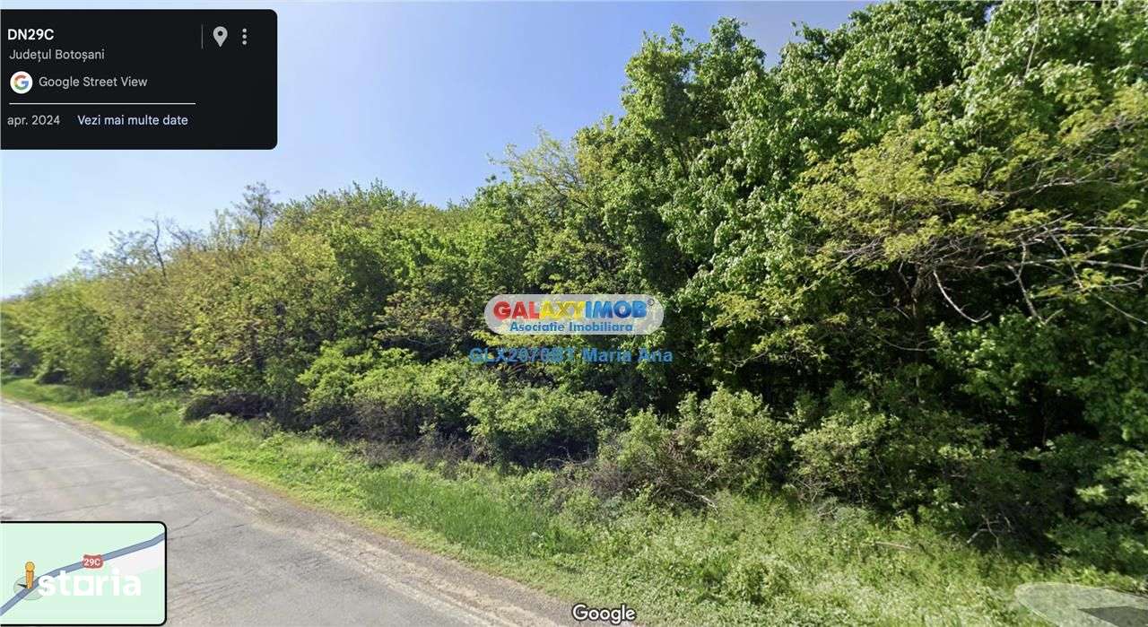 Teren Padure 6.500 mp., la strada, zona Cucorani! - Imagine principală: 1/2