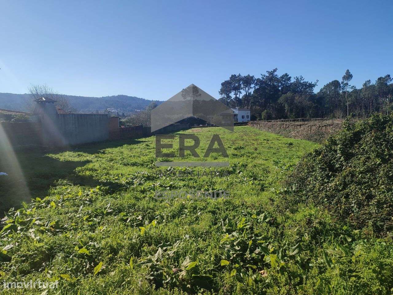 Terreno para construção em Forjães - Grande imagem: 5/5