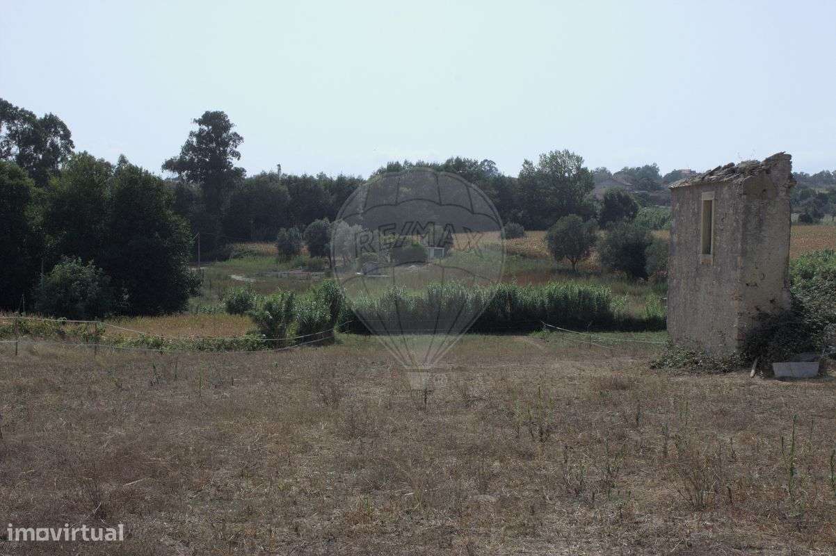 Terreno  para venda - Grande imagem: 5/6