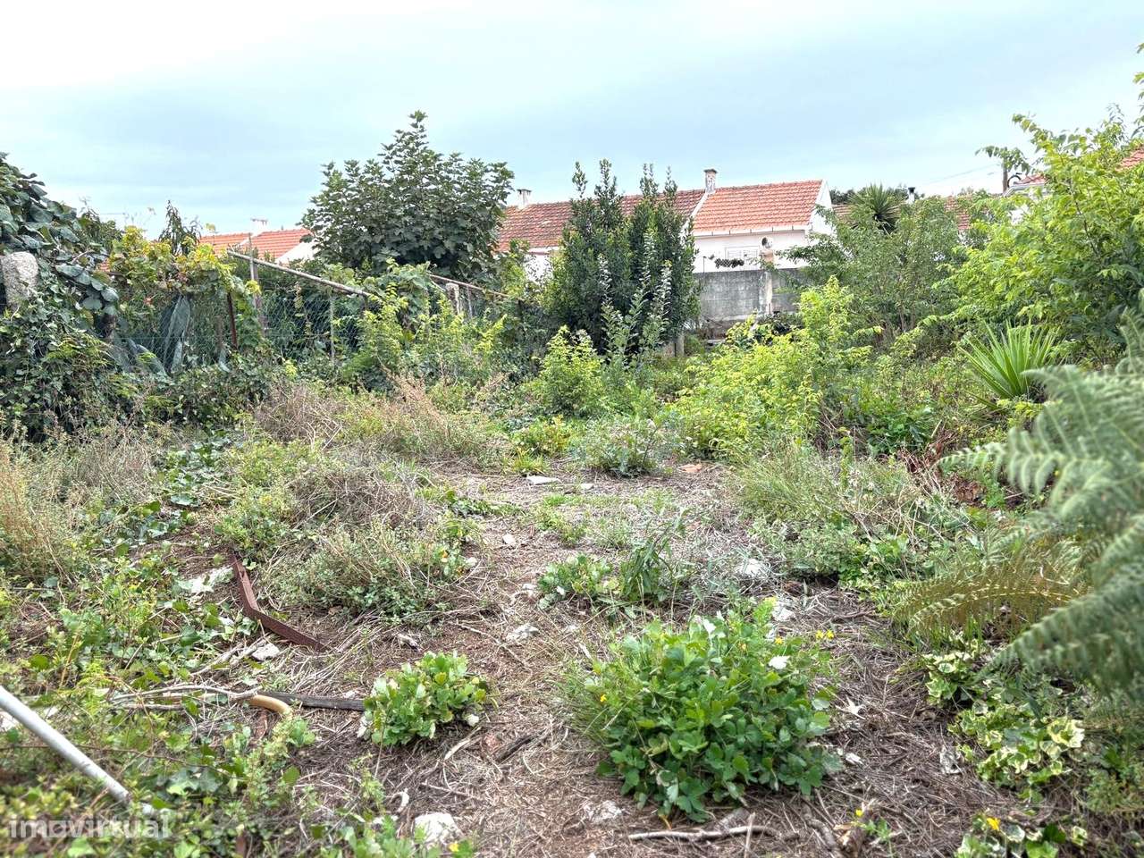 Moradia para reabilitar ou aumentar num lote de 429 m2 em Aldoar - Grande imagem: 3/6