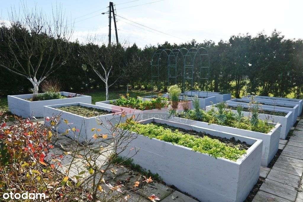 Chrząstowice - Przestronny dom z pięknym ogrodem-4