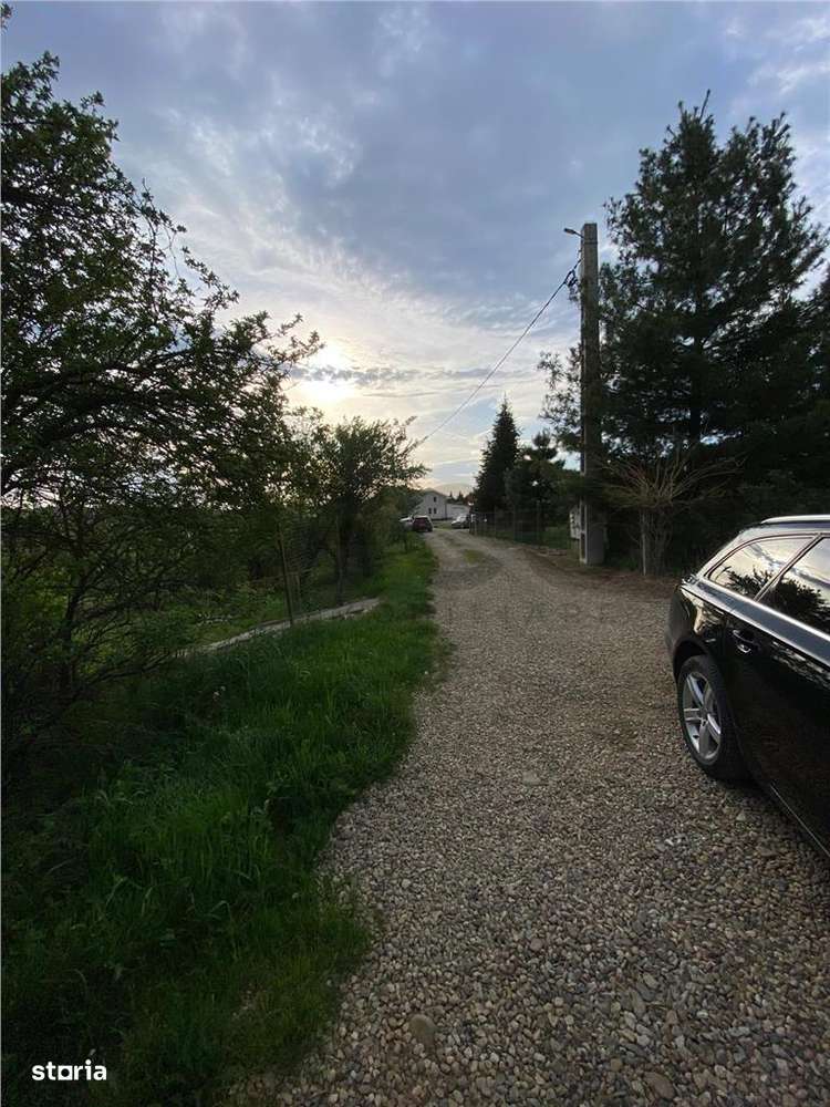 RECO Teren intravilan in  Saldabagiu de munte 985mp - Imagine principală: 2/5