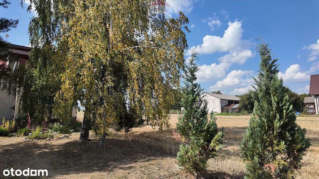 Działka inwestycyjna przy lotnisku Lublin - Pełny obrazek: 5/15