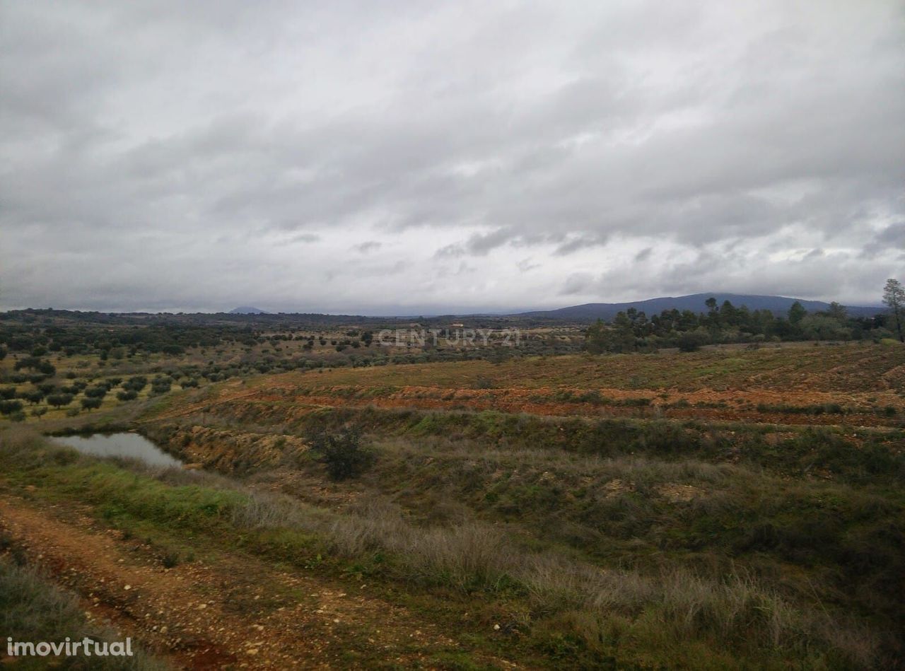 Terreno para exploração agrícola com 7 Ha em Idanha-a-Nova