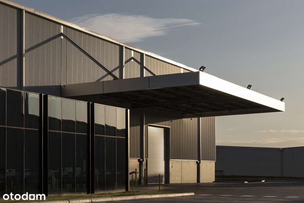 Nowoczesny magazyn 3500 MKW, Gorzyce, bez prowizji - Pełny obrazek: 3/3