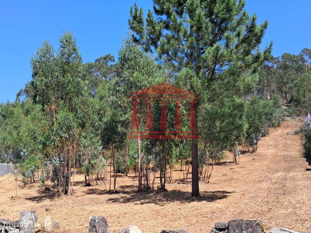 TERRENO PARA CONSTRUÇÃO - Grande imagem: 5/10