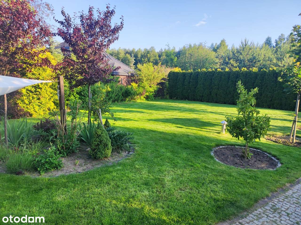 Dzikowo - dom wolnostojący na sprzedaż - Pełny obrazek: 4/20