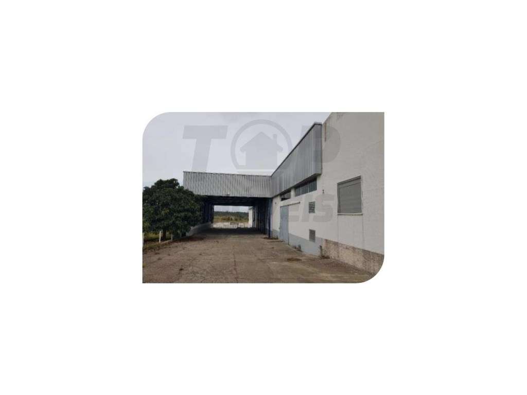 Edifício Industrial - Muge - 1.324.000€ - Grande imagem: 5/20
