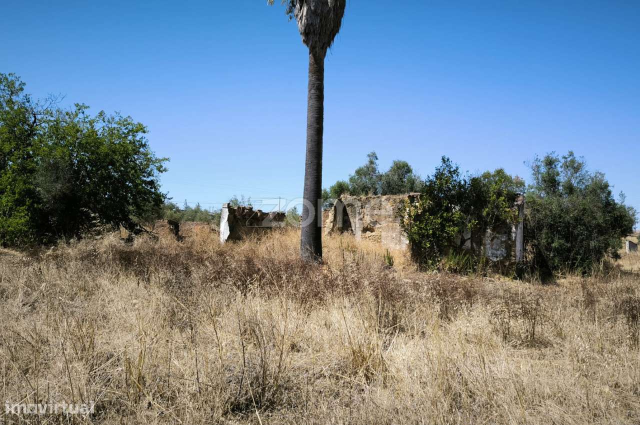 Terreno Misto ruína Vidigueira - Grande imagem: 2/10