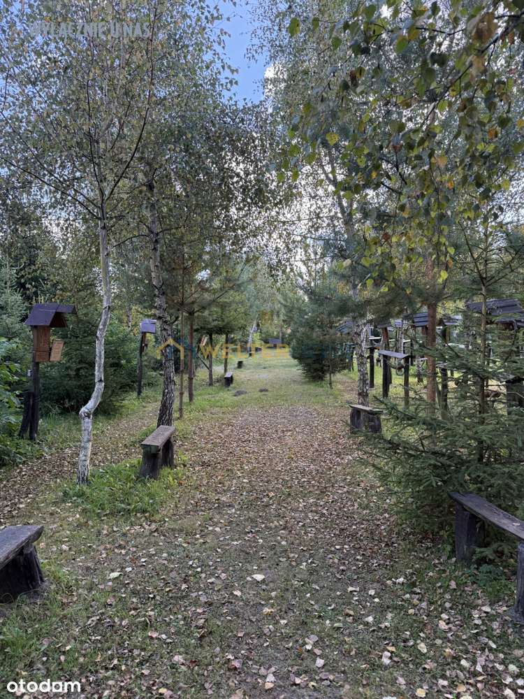 Piękna Nieruchomość, Działka 1,5 ha-6