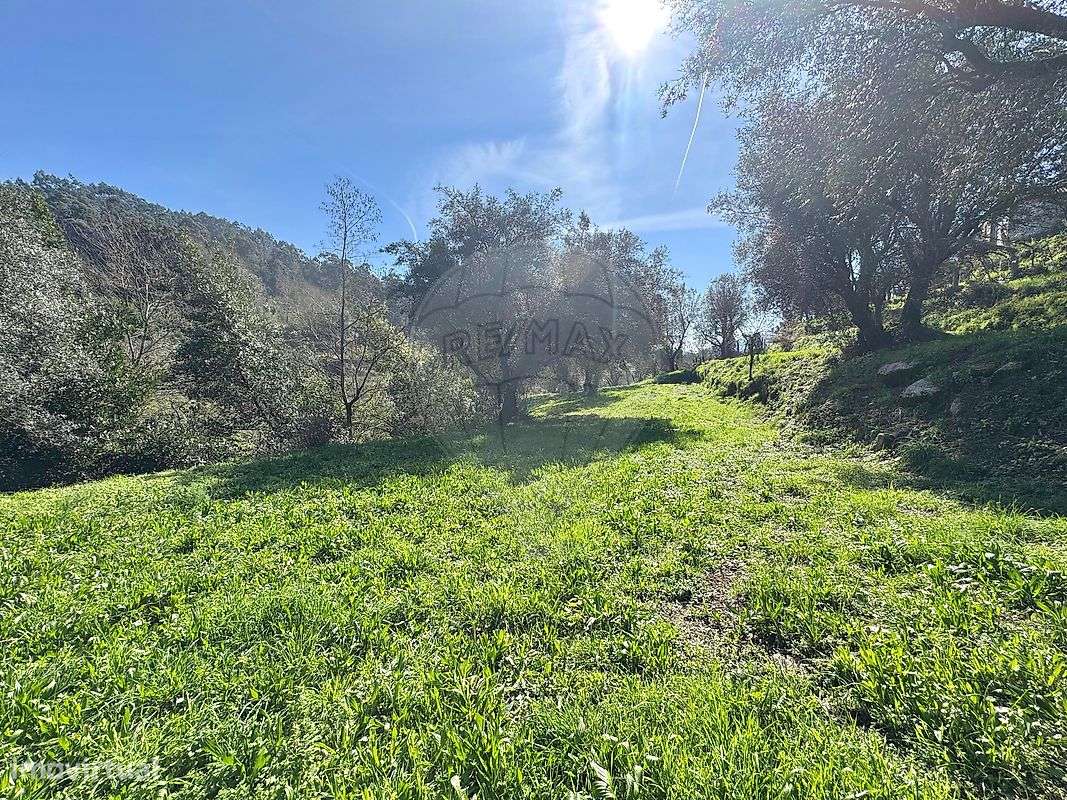 Terreno  para venda-5