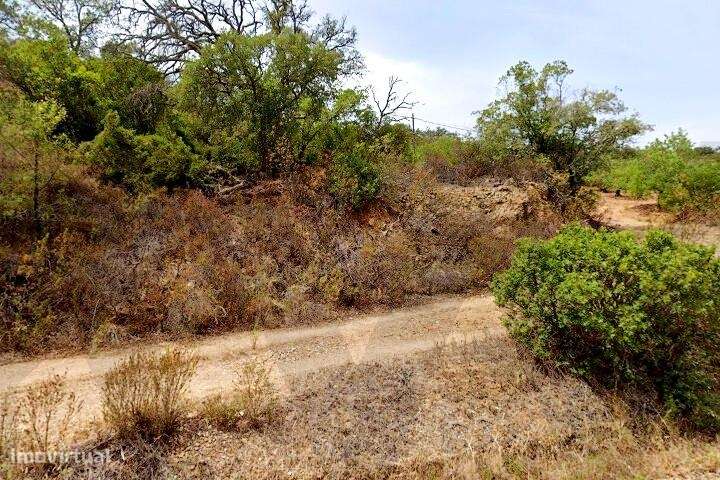 Terreno rústico em Corte do Peso - Tavira - Grande imagem: 5/8