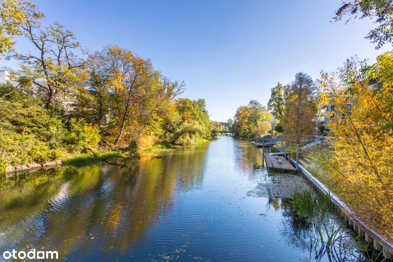 widok na rzekę | centrum miasta | zadbana zieleń-13