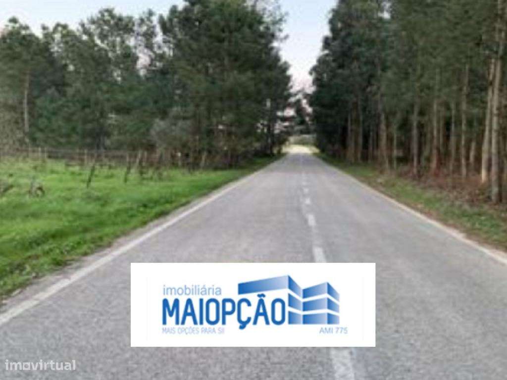 Terreno Rústico - Grande imagem: 3/4