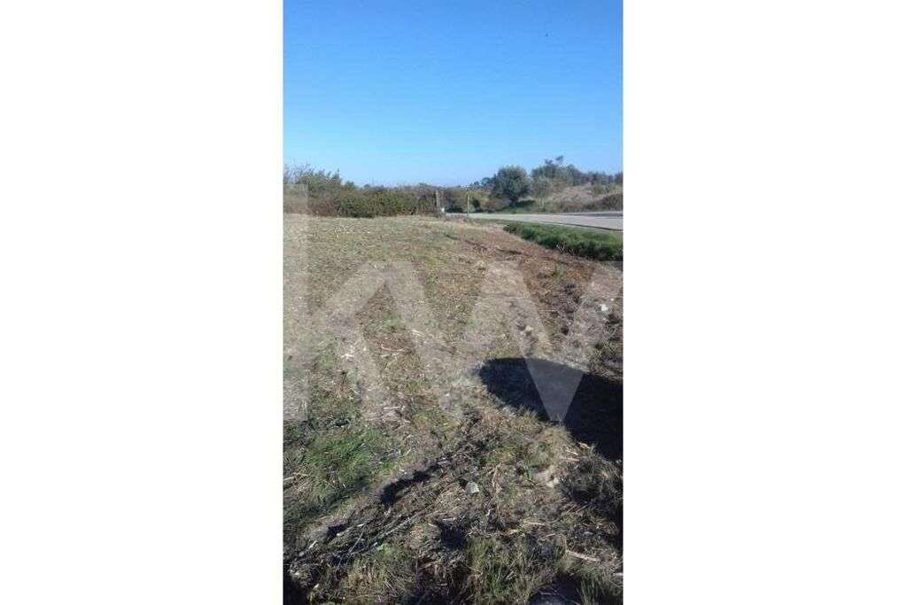 Terreno Rústico em Cantanhede - Grande imagem: 3/4