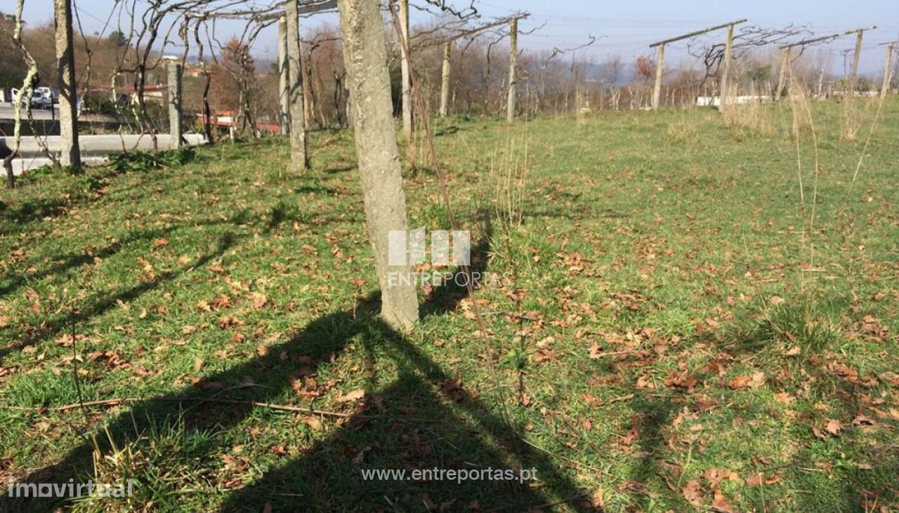Venda Terreno, Rosém, Marco de Canaveses - Grande imagem: 2/26