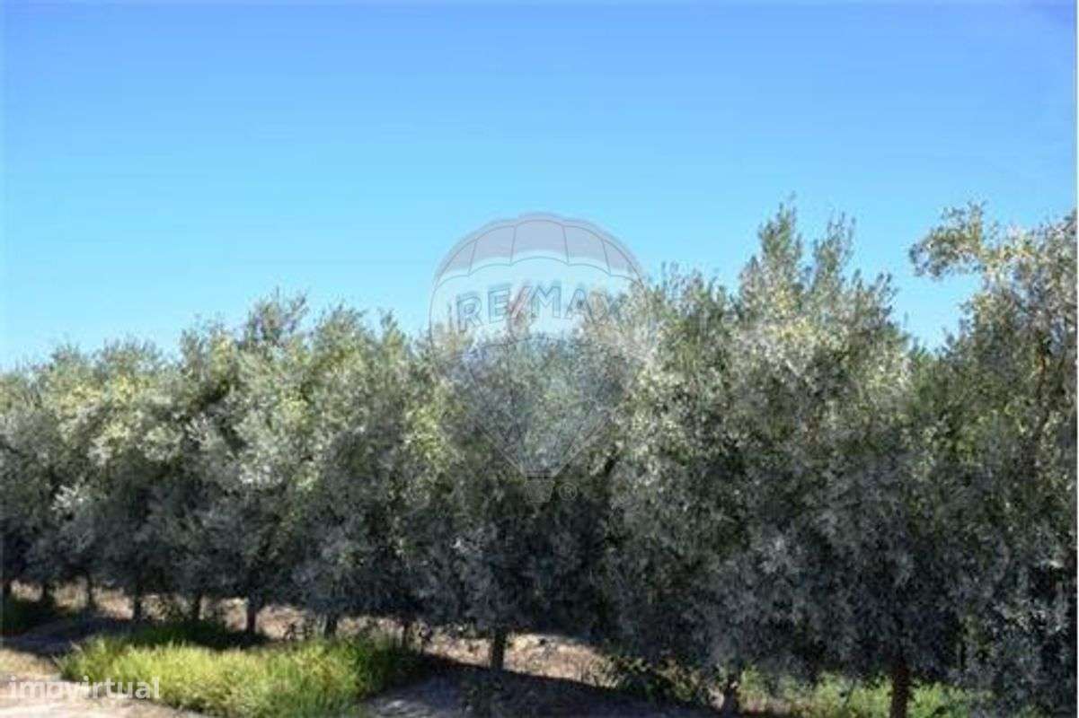 Terreno  para venda - Grande imagem: 2/3