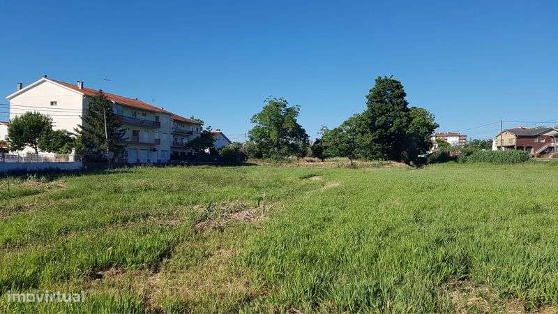 Terreno 3650m2 em Condeixa a Nova em zona urbanizavel - Grande imagem: 4/6