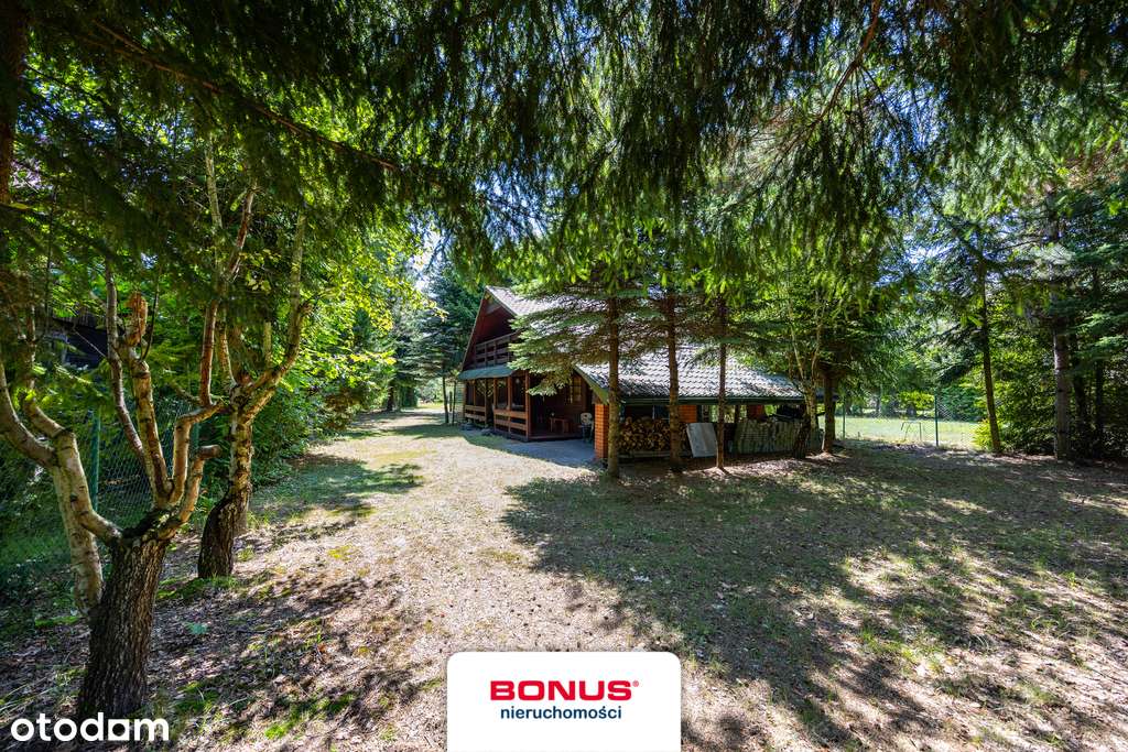 Domek letniskowy Piaseczno Rozpłucie - Pełny obrazek: 2/17