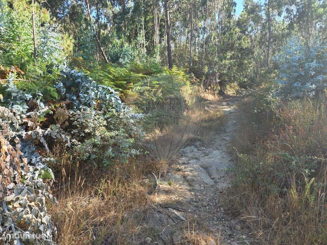 Terreno  para venda - Grande imagem: 5/9