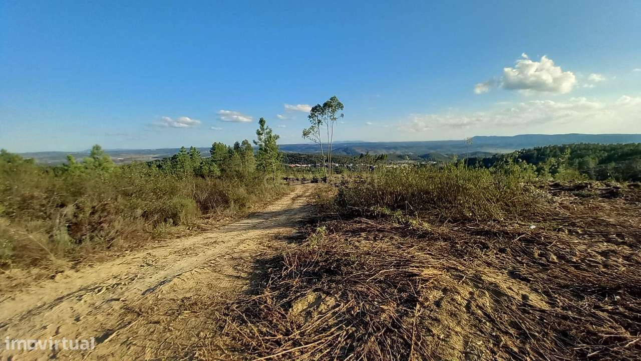 Terreno Rustico com 13520M2 - Grande imagem: 2/9