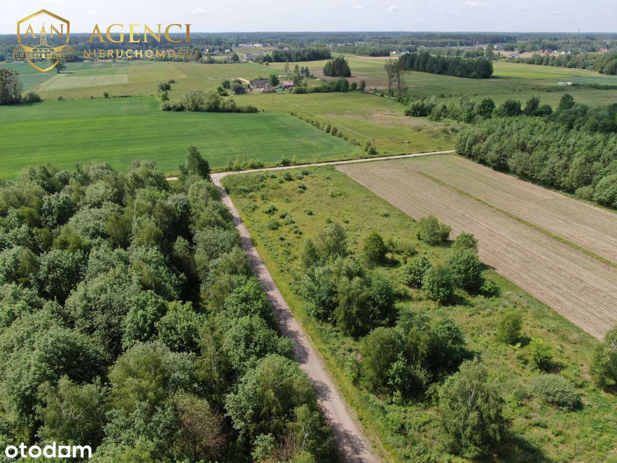 ** Halickie * 3000m² możliwości ** - Pełny obrazek: 5/5