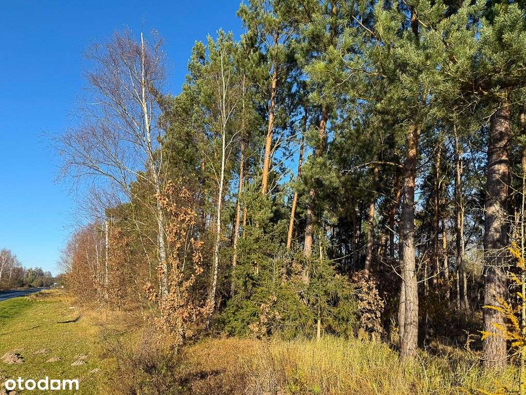 Działka Kiszewko z WZ na Dom Jednorodzinny-6