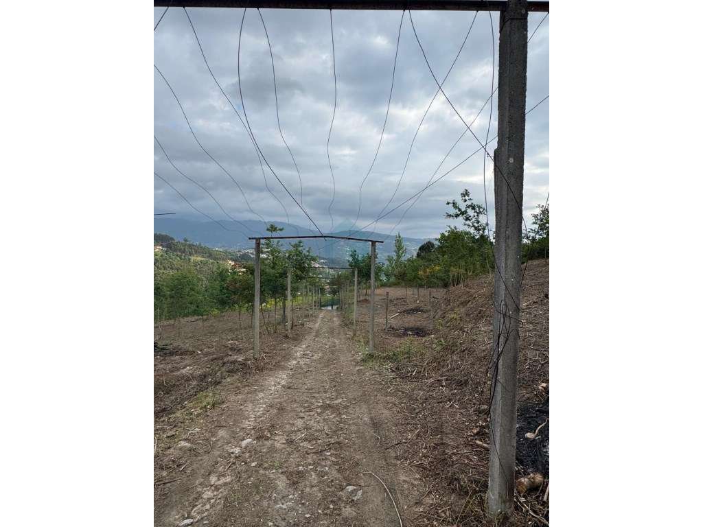 Quinta com Potencial em Marco de Canaveses-29