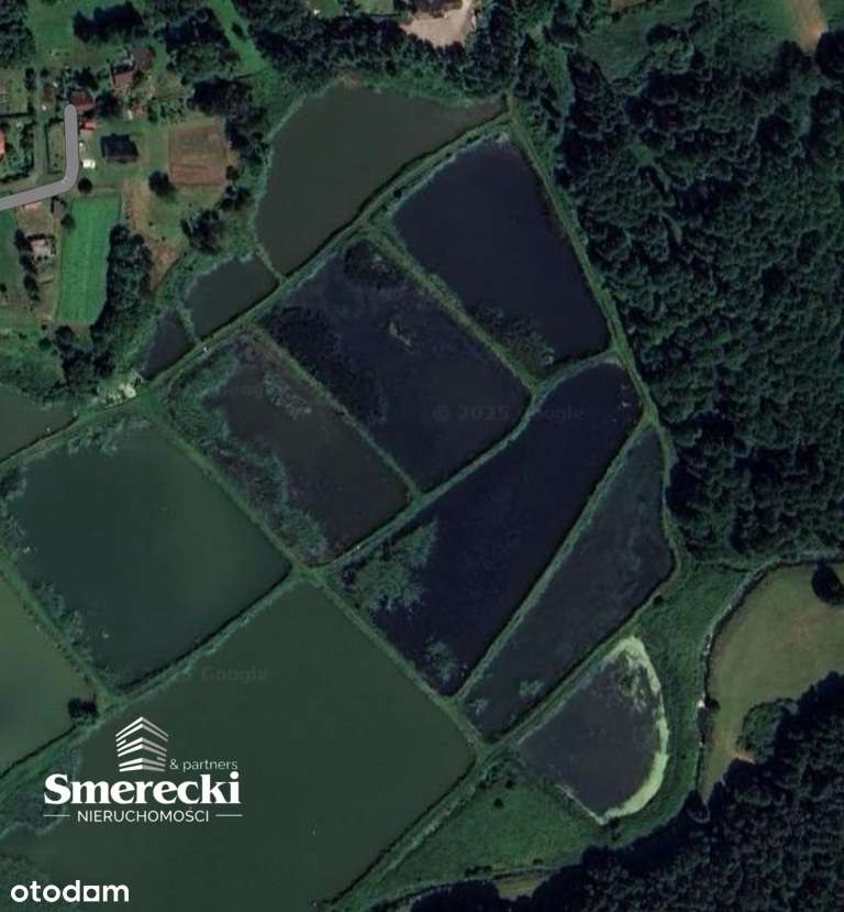 Gotowe stawy hodowlane - Pełny obrazek: 4/4