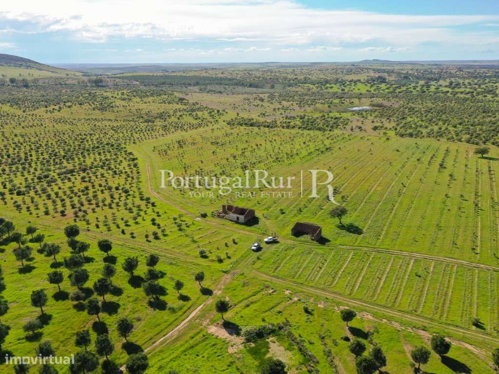 Herdades de Caça com 1300 Hectares, junto do rio Guadiana-25