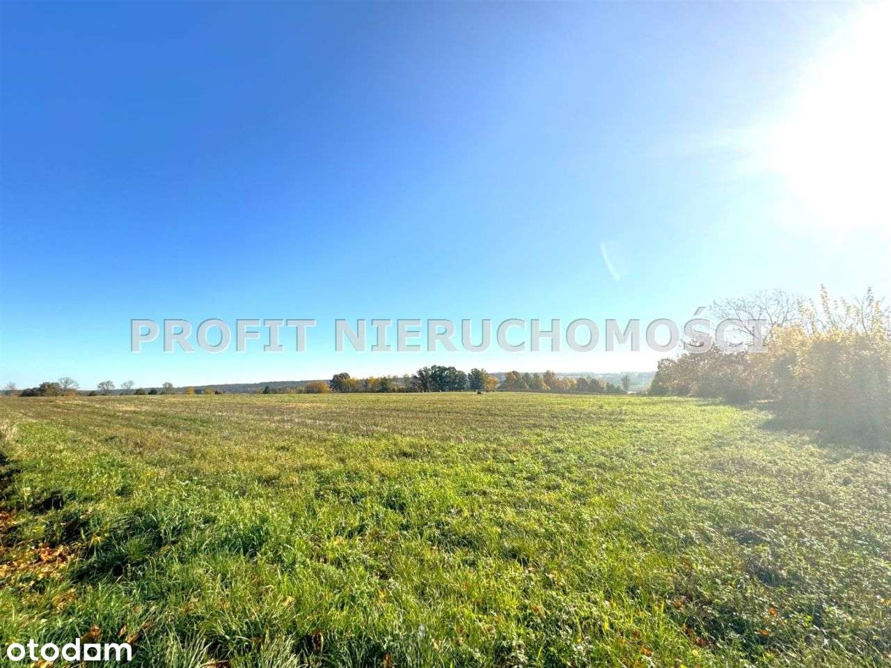 Działka siedliskowa z możliwością powiększenia - Pełny obrazek: 5/8