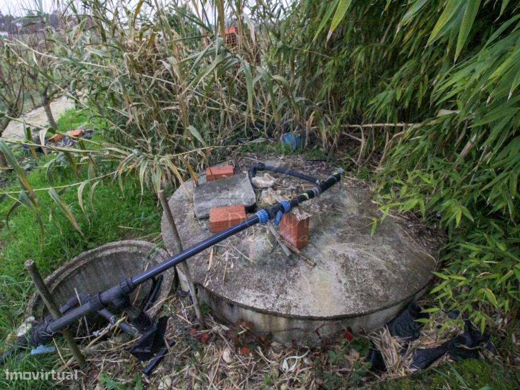 Terreno de 8.560 m2 c furo e 2 poços junto à entrada p a A13 - Grande imagem: 5/19