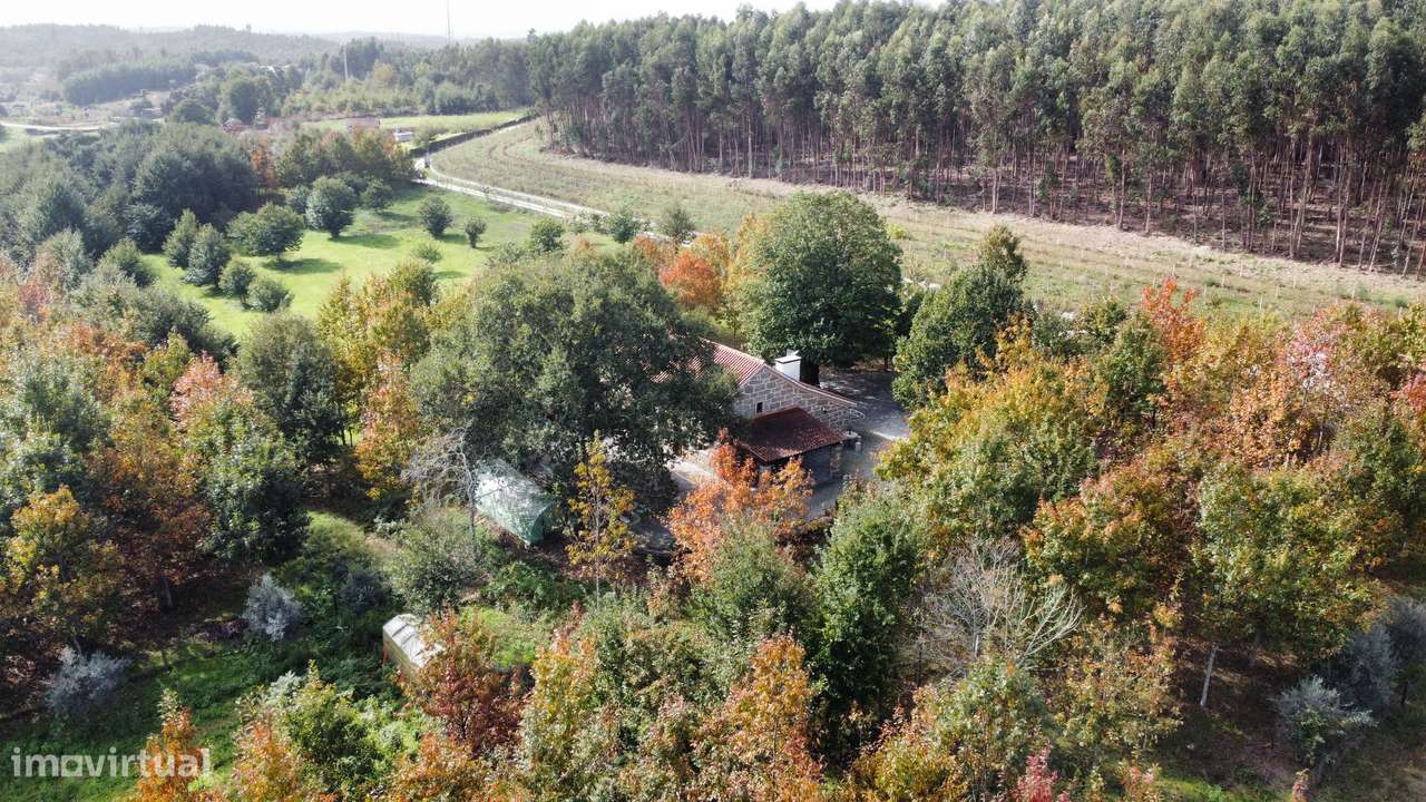 Moradia, 140 m², Molelos-46