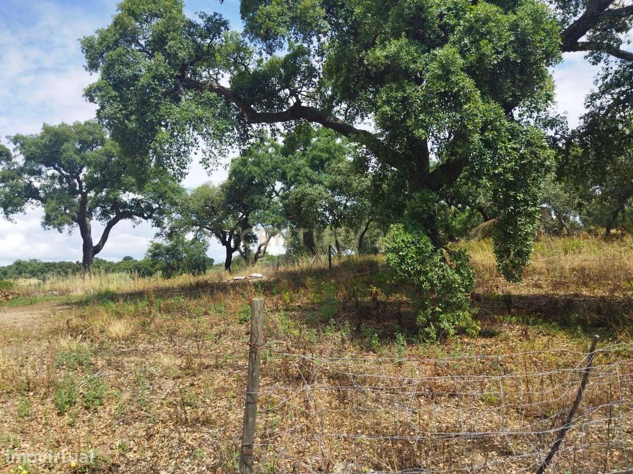 Terreno rústico | Lousa CTB, Castelo Branco-25