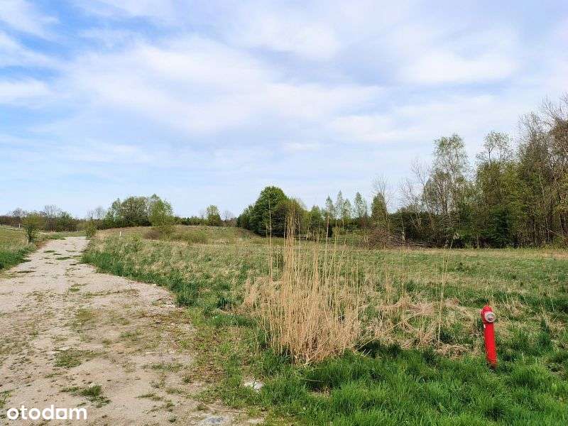 Działka budowlana z Mpzp, w okolicy Kolbud. - Pełny obrazek: 5/8