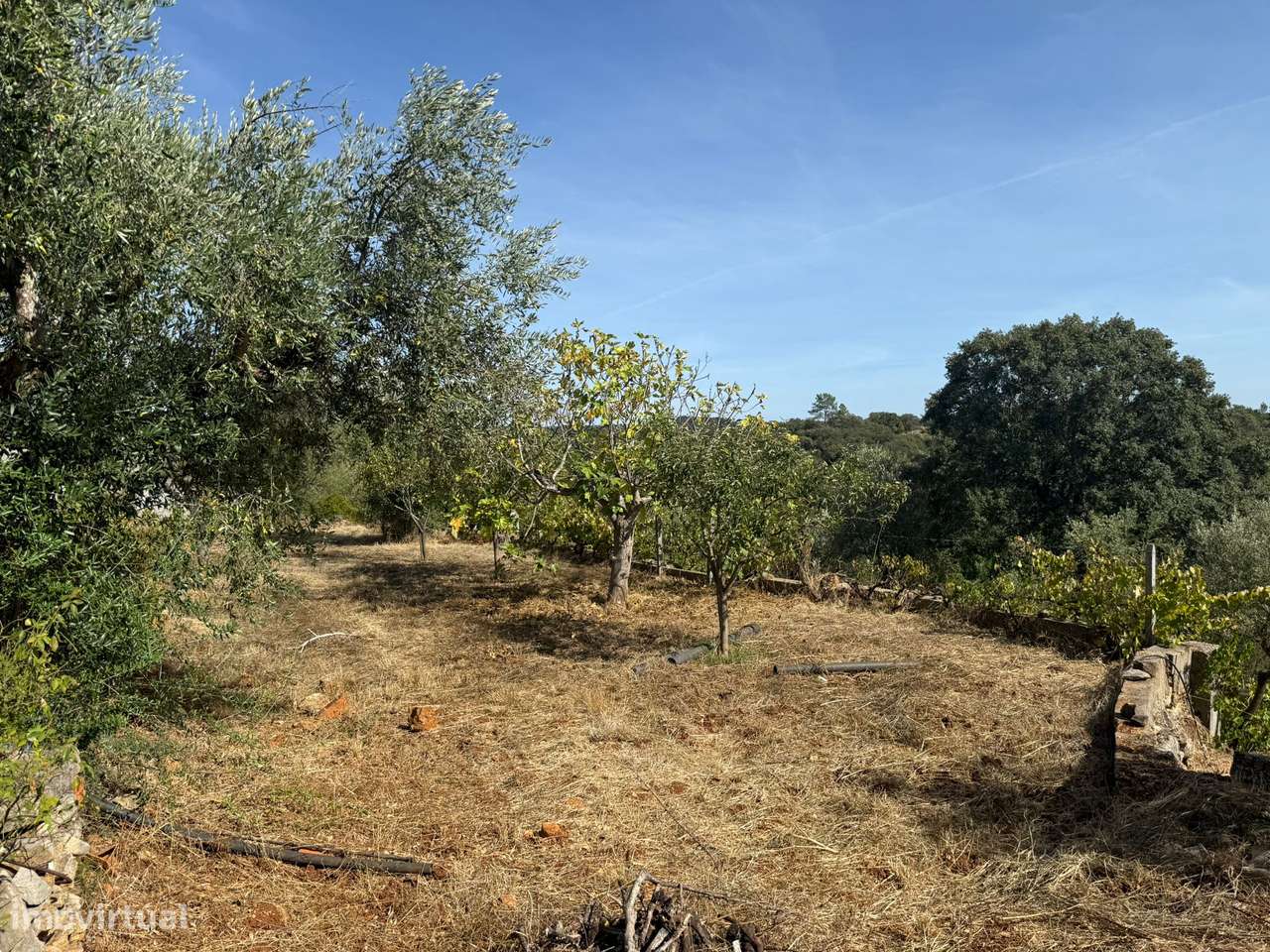 Moradia antiga com terreno, furo de agua e painéis solares aquecimento-29