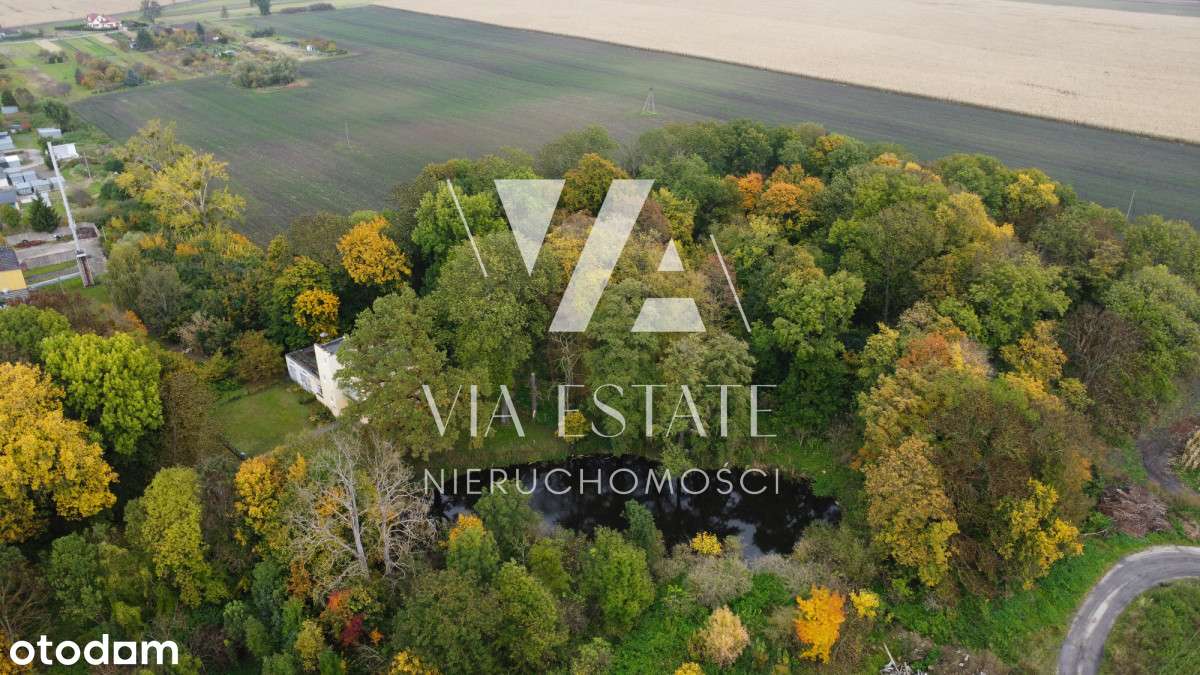 Pałac eklektyczny,zabytkowy park,stawy, do remontu-9