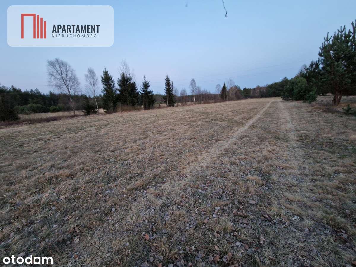 Spokojna okolica, blisko lasu! - Pełny obrazek: 5/6